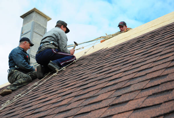 Best Gutter Installation and Roofing  in St Ignace, MI